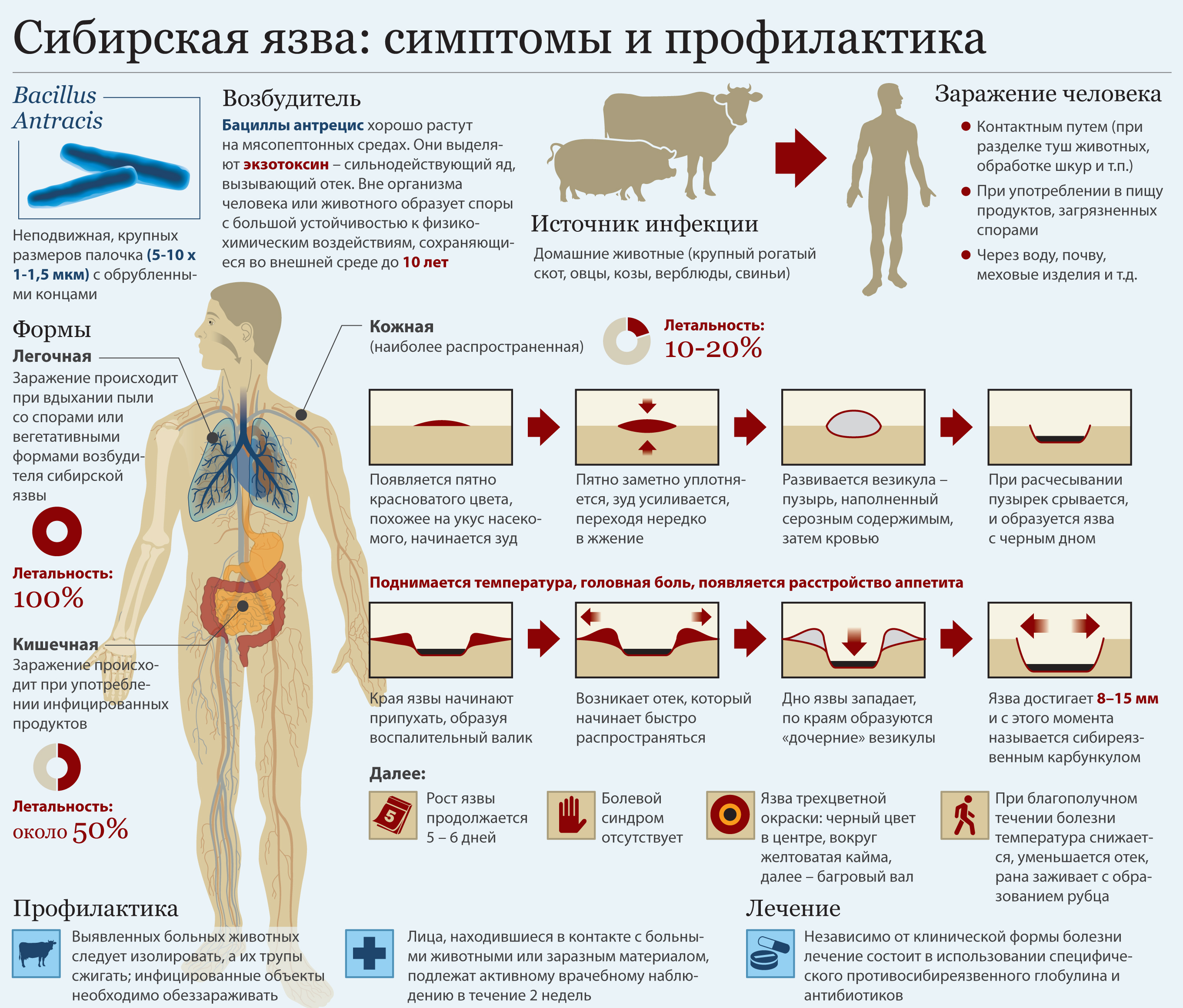 Изображения.