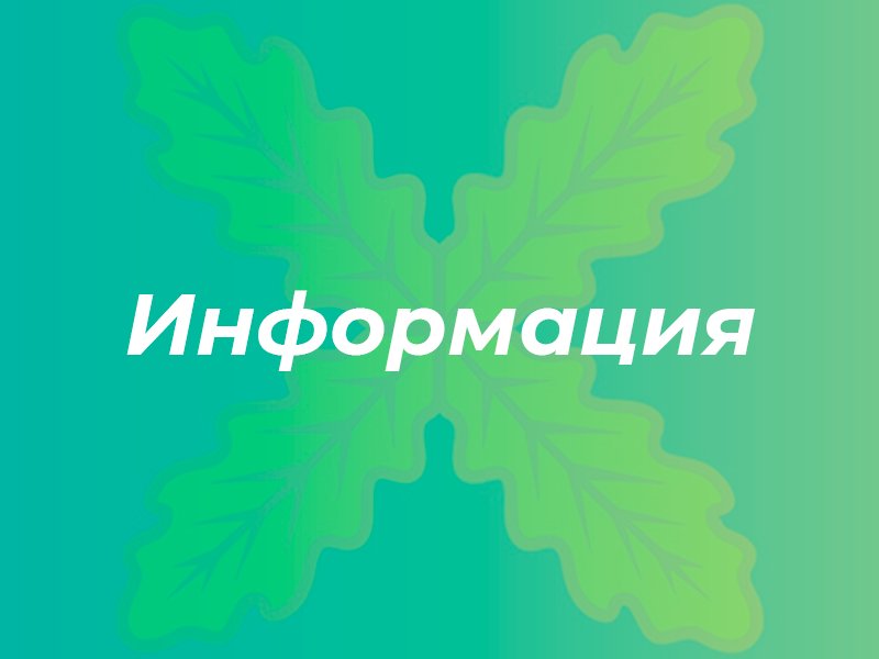 Инфографика.