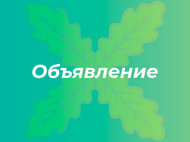 Конкурс по распределению грантов в форме субсидий социально ориентированным некоммерческим организациям.