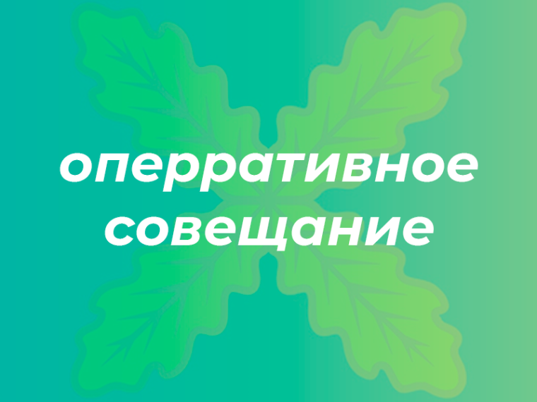 10 февраля 2025. 10 февраля 2025.